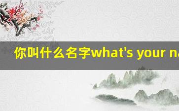 你叫什么名字what's your name